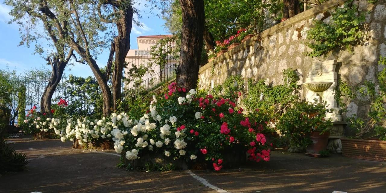 Villa L'Ulivina ソレント エクステリア 写真
