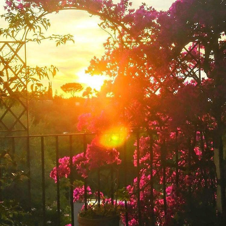 Villa L'Ulivina ソレント エクステリア 写真
