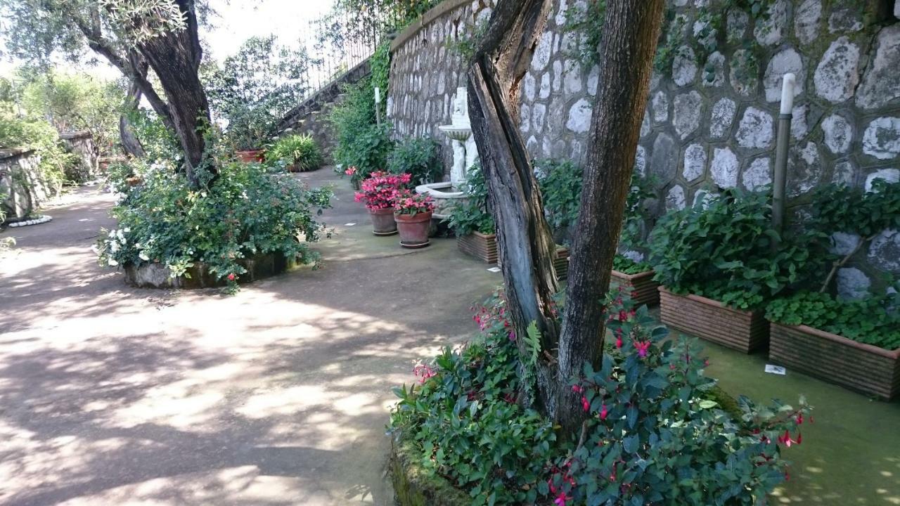 Villa L'Ulivina ソレント エクステリア 写真