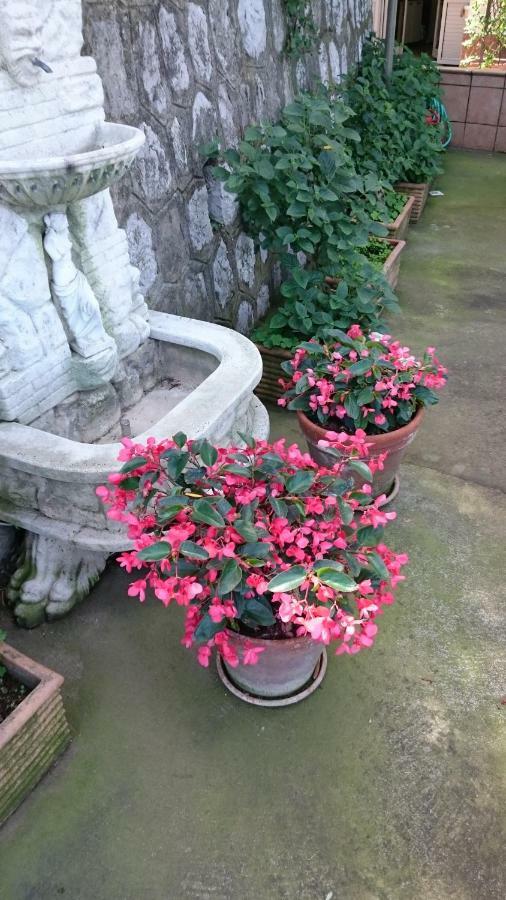 Villa L'Ulivina ソレント エクステリア 写真