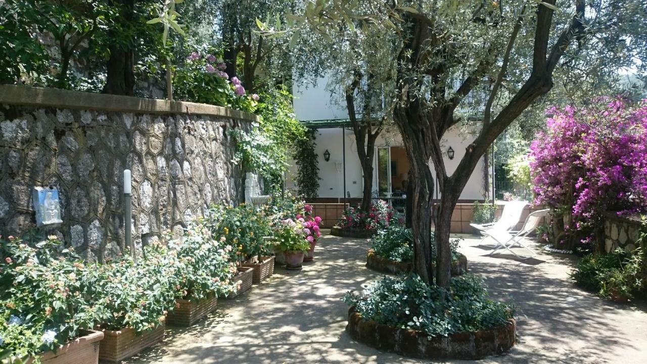 Villa L'Ulivina ソレント エクステリア 写真