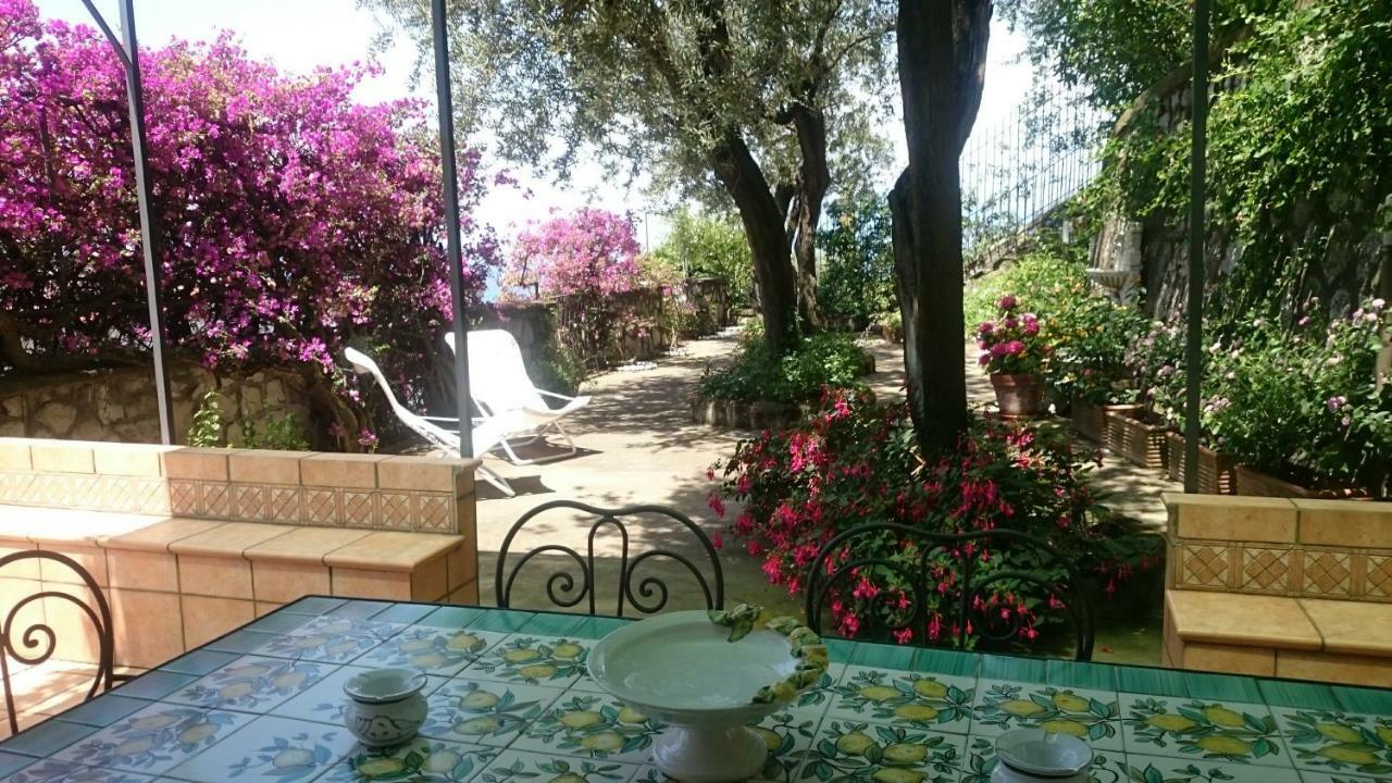Villa L'Ulivina ソレント エクステリア 写真