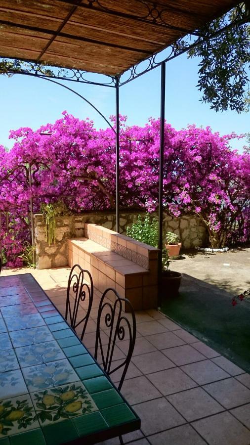 Villa L'Ulivina ソレント エクステリア 写真